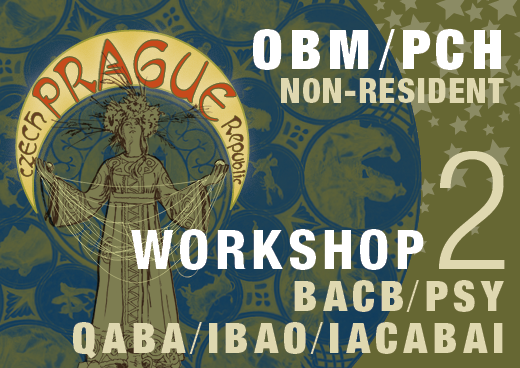 a square graphic representing Workshop 02: Complexity, Science and Society, Czech Republic Non-Resident